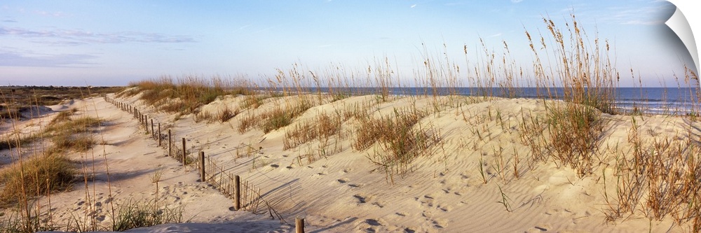Large horizontal photograph of grassy sand dunes on a beach at the Anastasia State Recreation Area, beneath a light blue s...