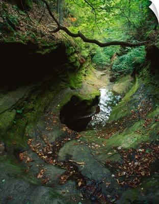 Sandstone creek bed and water hole, Little Grand Canyon, Shawnee National Forest, Illinois