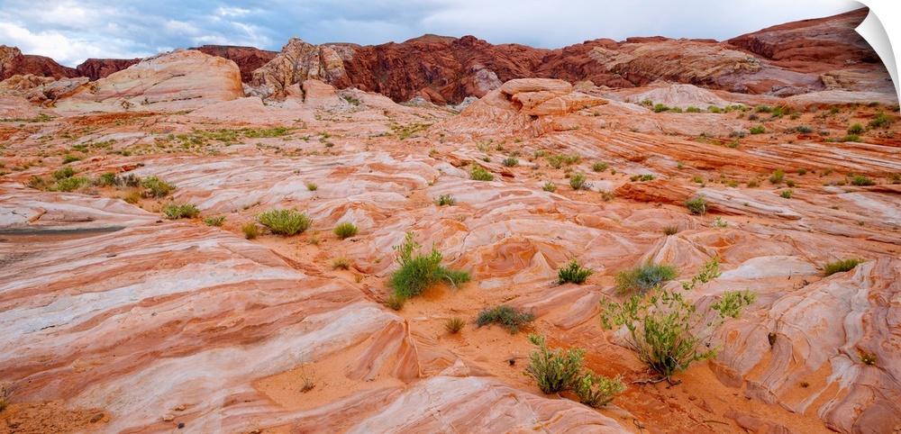 Sandstone formations, Valley of Fire State Park, Nevada