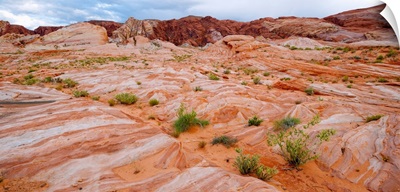 Sandstone formations, Valley of Fire State Park, Nevada