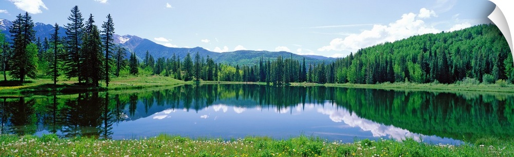 The still waters of a Colorado lake reflect the trees and clouds in this panoramic landscape photograph.