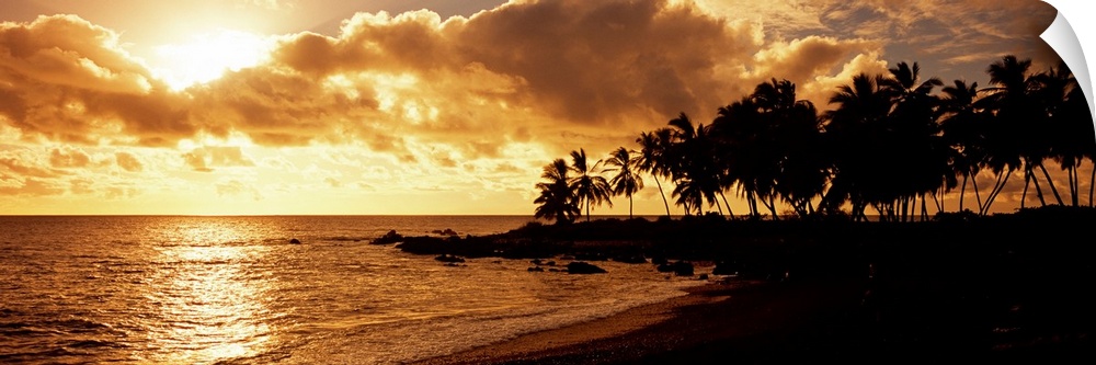 A panoramic photograph of palm trees lining the shore of a tropical beach as the sun sinks behind the clouds.