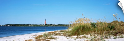 Sea oat grass on beach with Ponce de Leon Inlet Lighthouse, Smyrna Dunes Park, Florida