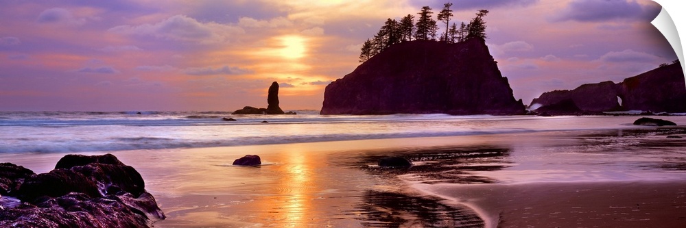 Sea stacks at sunset, Second Beach, Olympic National Park, Washington State