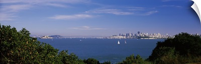 Sea with the Bay Bridge and Alcatraz Island in the background San Francisco Marin County California