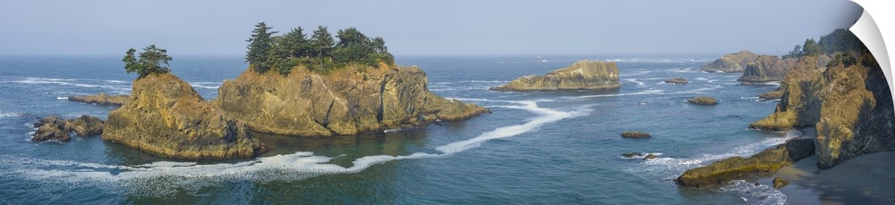 Seastacks and flagged trees seen from Thunder Cove on the Pacific Coast, Brookings, Curry County, Oregon, USA.