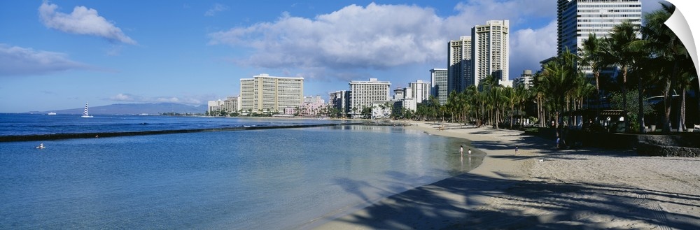 Shadow of trees on the beach, Waikiki Beach, Waikiki, Oahu, Hawaii