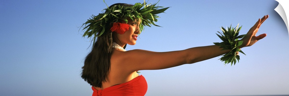 Side profile of a Hula dancer dancing, Hawaii