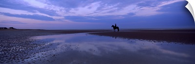Silhouette of a horse with rider on the beach at dawn Camber Sands Camber East Sussex England