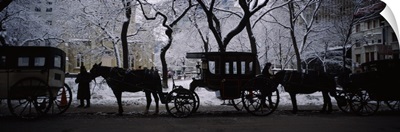 Silhouette of horse drawn carriages, Chicago, Illinois