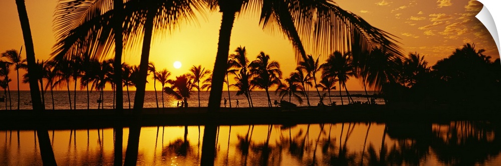 The sun begins to set over the Pacific ocean and silhouettes a line of palm trees.