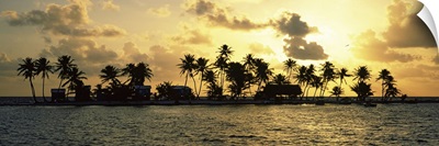 Silhouette of palm trees on an island at sunset, Laughing Bird Caye, Victoria Channel, Belize