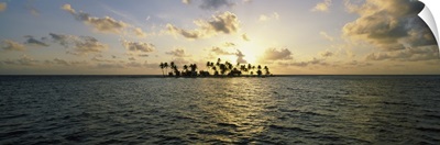 Silhouette of palm trees on an island, Placencia, Laughing Bird Caye, Victoria Channel, Belize