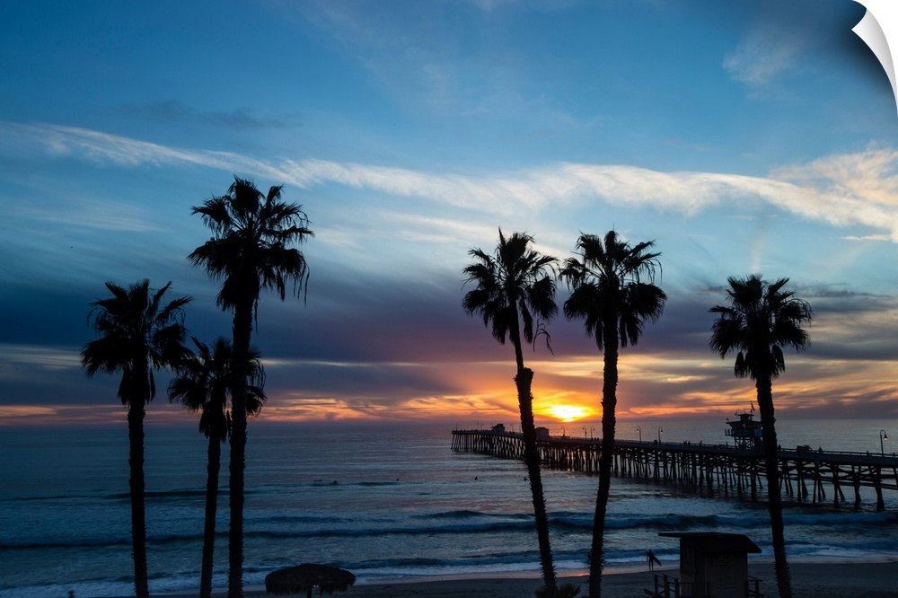 Silhouette of palm trees on the beach, Laguna Beach, California, USA