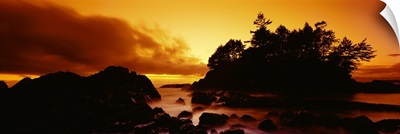 Silhouette of rocks and trees at sunset, Tofino, Vancouver Island, British Columbia, Canada