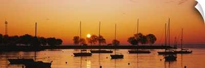 Silhouette of sailboats in a lake, Lake Michigan, Chicago, Illinois