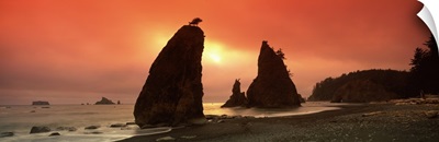 Silhouette of seastacks at sunset, Olympic National Park, Washington State,