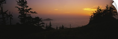 Silhouette of trees at sunset, Pacific Ocean, Boardman State Park, Oregon