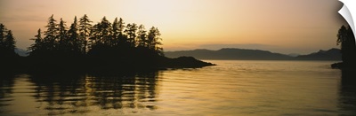 Silhouette of trees in an island, Frederick Sound, Alaska