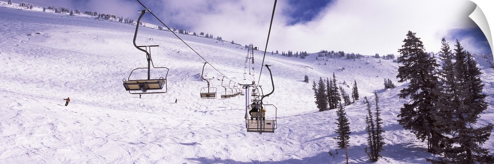Ski lifts in a ski resort, Snowbird Ski Resort, Utah, USA