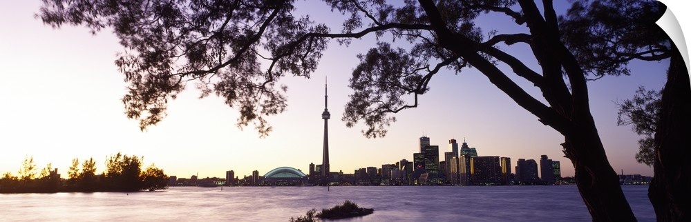 Landscape photograph on a giant canvas of a large tree hanging over the water as the sun sets, the Toronto skyline on the ...