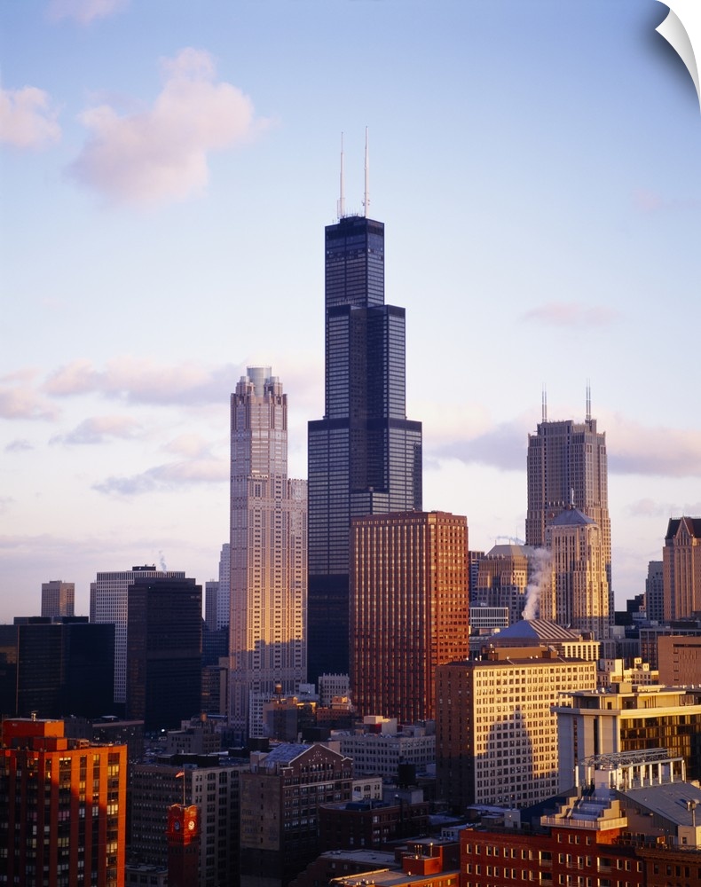 This oversized piece is a photograph of buildings in Chicago with the Sears Tower in the middle during sundown.