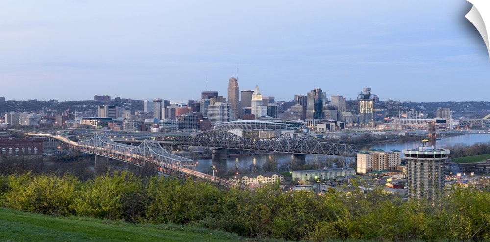Horizontal, distant photograph of bridges and skyscrapers of the Cincinnati, Ohio skyline, grass and a row of bushes in th...