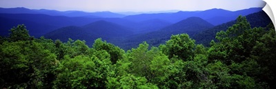 Smoky Mountain National Park TN