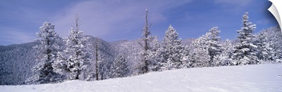 Snow covered landscape, Colorado