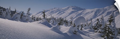 Snow covered landscape, Talkeetna Mountains, Alaska