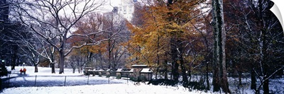Snow covered park in a city, Central Park, Manhattan, New York City, New York