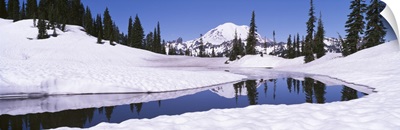 Snow on a landscape, Mt Rainier, Mt Rainier National Park, Washington State