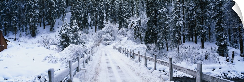 Long photo of a snow covered bridge entering a snowy forest.
