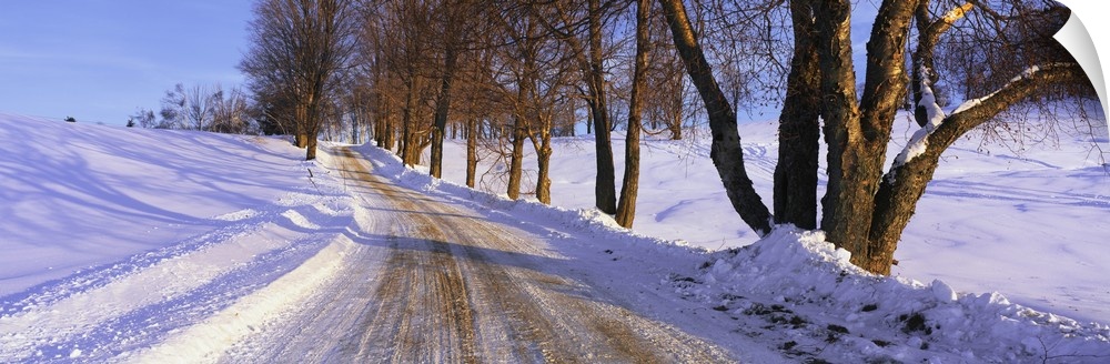 Snowy Country Road