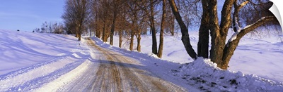 Snowy Country Road