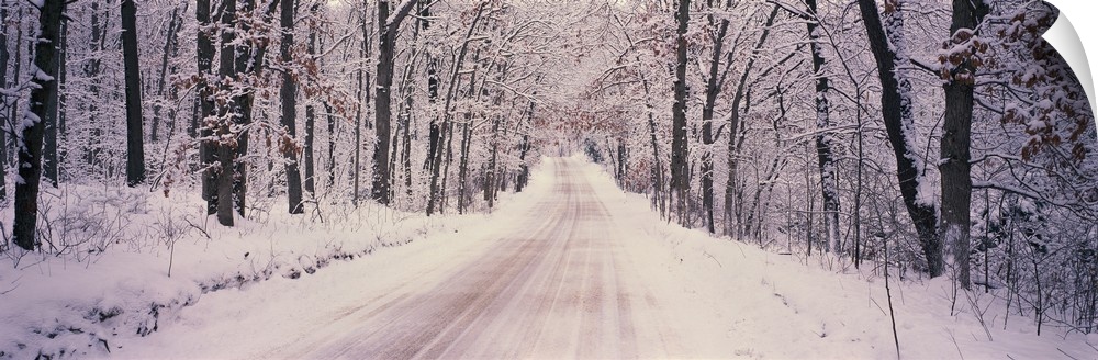 This panoramic photograph shows a road way through a snowy forest on a winter day.