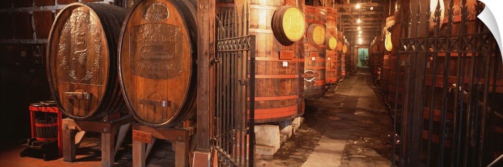 Panorama of a cellar where barrels of aging wine are being kept in controlled temperatures and humidity to achieve the bes...