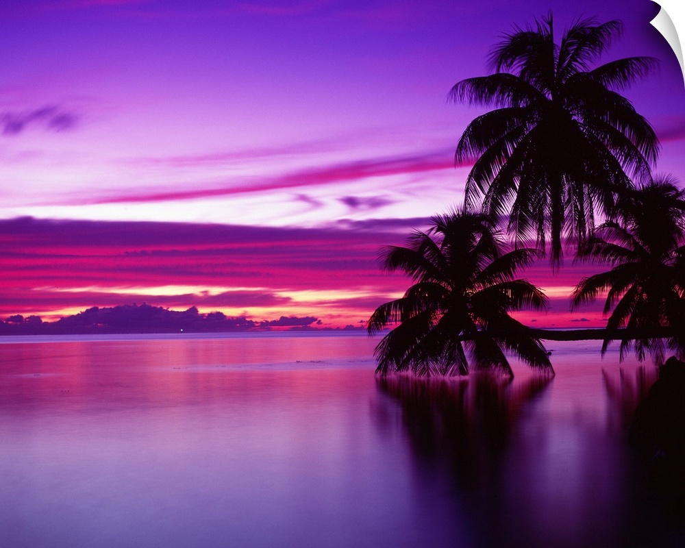Canvas photo art of a peaceful ocean with big palm trees silhouetted against a bright sunset.
