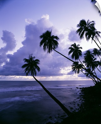 South Pacific, Tahiti