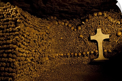 Stacked bones in catacombs, Paris, Ile de France, France