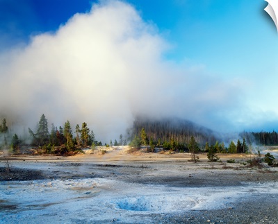 Steam cloud over Norris Geyser Basin, Yellowstone National Park, Wyoming