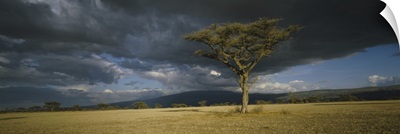 Storm clouds over a landscape, Tanzania
