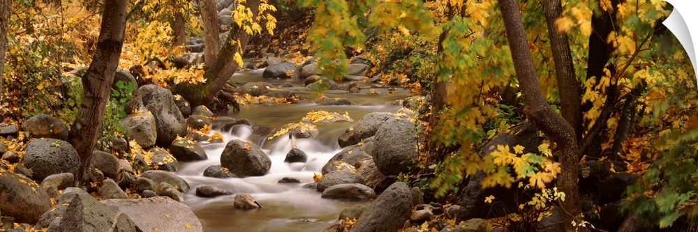 Panoramic photograph of water running through autumn forest over large rocks an boulders.