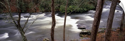 Stream flowing through a forest, Appalachian Mountains, North Carolina,