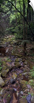 Stream flowing through rocks, Appalachian Mountains, North Carolina,