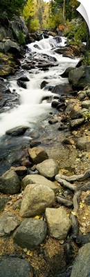 Stream flowing through rocks, Lee Vining Creek, Lee Vining, Mono County, California