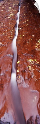 Stream flowing through rocks, North Creek, Zion National Park, Utah,
