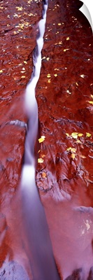 Stream flowing through rocks, North Creek, Zion National Park, Utah
