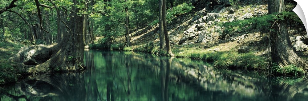 Stream in a forest, Honey Creek, Texas,