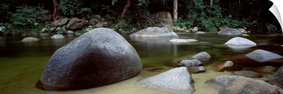 Stream in a forest, Mossman Gorge, Daintree National Park, Queensland, Australia